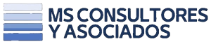MS Consultores y Asociados